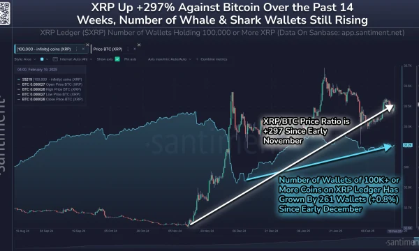 Усиление китовой поддержки подтолкнуло XRP более чем на 10%