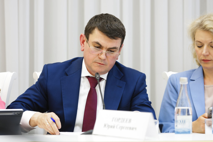 Замминистра Юрий Гордеев принял участие в выездном заседании Комитета Совета Федерации по бюджету и финансовым рынкам
