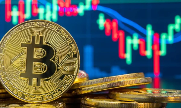 Глава Нацбанка Чехии призывает изучать, а не запрещать биткоин