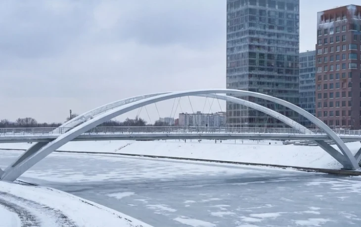 Владимир Ефимов: началось строительство опор арок моста между Мневниковской поймой и районом Крылатское