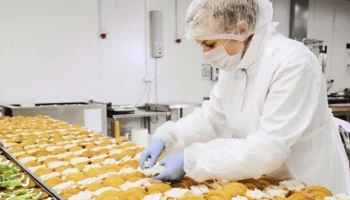 Два участка для размещения производств выделено инвесторам с начала года