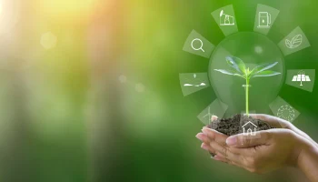 Топ-10 стран с самым высоким уровнем использования ВИЭ