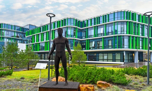 У центра хронических болезней в &laquo;Сколково&raquo; благоустроили более двух тысяч квадратных метров территории