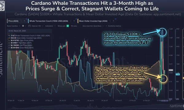 Активность Cardano-китов усилилась до трехмесячного максимума