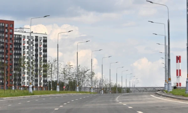Для обслуживания пищевого кластера в ТиНАО построят более 10 км дорог