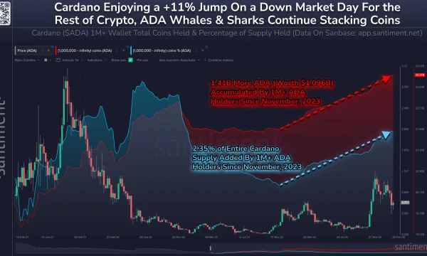 Китовые заплывы поспособствовали взлету Cardano на 107%