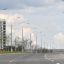 Для обслуживания пищевого кластера в ТиНАО построят более 10 км дорог