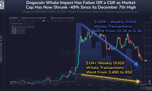 Dogecoin обвалился за два месяца на 49%