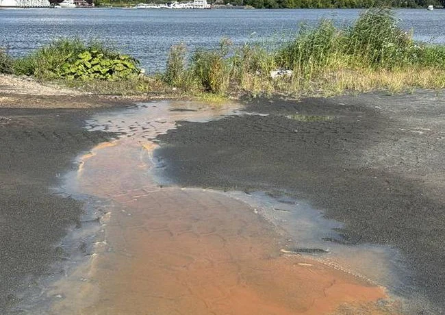 Жители Долгопрудного получили шокирующие данные о состоянии воды в Клязьминском водохранилище Жители Долгопрудного получили шокирующие данные о состоянии воды в Клязьминском водохранилище