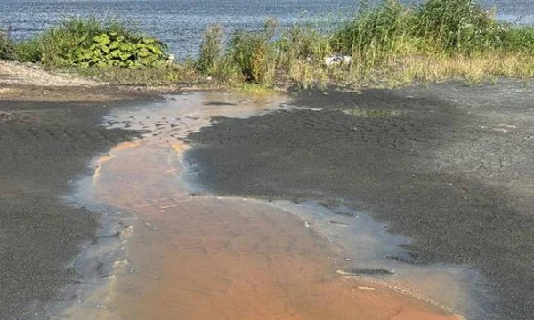 Жители Долгопрудного получили шокирующие данные о состоянии воды в Клязьминском водохранилище Жители Долгопрудного получили шокирующие данные о состоянии воды в Клязьминском водохранилище
